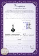 Certificat de produit: TAH-B-AAA-910-P-Vita