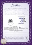 Certificat de produit: TAH-B-AAA-910-R-Bobbie