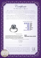 Certificat de produit: TAH-B-AAA-910-R-Royisal
