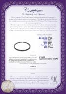 Certificat de produit: TAH-B-N-Q111