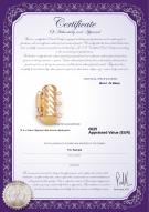 Certificat de produit: W-14K-TRP-Clasp-Dartmoor