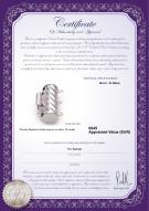 Certificat de produit: W-14K-TRP-Clasp