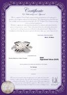 Certificat de produit: W-18K-Oxford-Clasp