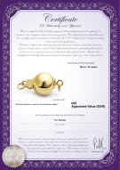 Certificat de produit: Y-14k-ball-clasp