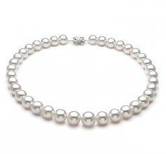 Blanc 11-14mm AAA+-qualité des Mers du Sud 585/1000 Or Blanc-Collier de perles