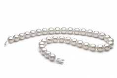 Blanc 12-13mm AAA-qualité des Mers du Sud 585/1000 Or Blanc-Collier de perles
