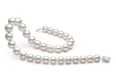 Blanc 12-16mm AAA-qualité des Mers du Sud 585/1000 Or Blanc-Collier de perles