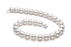 Blanc 14-17mm AAA-qualité des Mers du Sud 585/1000 Or Blanc-Collier de perles