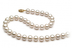 Blanc 7-8mm AA+-qualité Akoya de Chine 375/1000 Or Jaune-Collier de perles