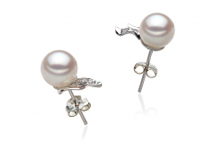 Sydney Blanc 6-7mm AA-qualité Akoya du Japon 925/1000 Argent-Boucles d'oreilles en perles