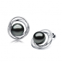 Cercle triple Stud Noir 9-10mm AAA-qualité de Tahiti 585/1000 Or Blanc-Boucles d'oreilles en perles