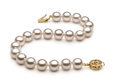 Blanc 7.5-8mm AA-qualité Akoya du Japon -Bracelet de perles