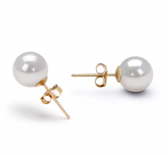 Blanc 7.5-8mm AA-qualité Akoya du Japon-Boucles d'oreilles en perles