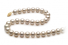 Blanc 8.5-9mm AA-qualité perles d'eau douce Rempli D'or-Collier de perles