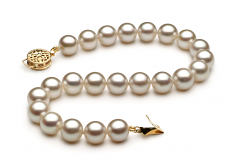 Blanc 7.5-8mm AAA-qualité Akoya du Japon -Bracelet de perles