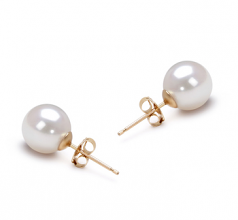 Blanc 7.5-8mm AAA-qualité Akoya du Japon-Boucles d'oreilles en perles