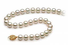 Blanc 7.5-8mm AAA-qualité Akoya du Japon -Collier de perles