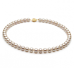Blanc 7-8mm AAA-qualité perles d'eau douce Rempli D'or-Collier de perles