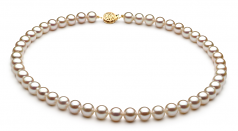 Blanc 7-8mm AAA-qualité perles d'eau douce Rempli D'or-un set en perles