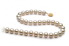 Blanc 8-9mm AAA-qualité perles d'eau douce Rempli D'or-Collier de perles