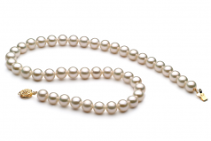 Blanc 8-9mm AAA-qualité perles d'eau douce Rempli D'or-Collier de perles