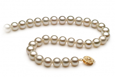 Blanc 7-8mm AAAA-qualité perles d'eau douce Rempli D'or-Collier de perles