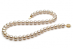 Blanc 8-8.5mm AAAA-qualité perles d'eau douce Rempli D'or-Collier de perles