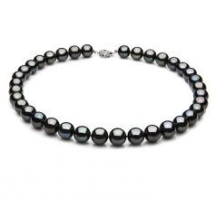 Noir 9.5-10.5mm AAA-qualité perles d'eau douce 925/1000 Argent-Collier de perles