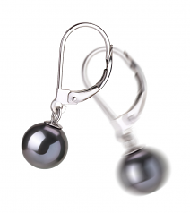 Marcella Noir 7-8mm AAAA-qualité perles d'eau douce-Boucles d'oreilles en perles