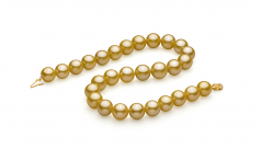 Or 14-15.7mm AAA+-qualité des Mers du Sud 585/1000 Or Jaune-Collier de perles