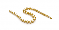 Or 11.53-15.2mm AAA+-qualité des Mers du Sud 585/1000 Or Jaune-Collier de perles