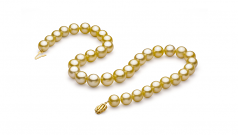 Or 10.89-12.75mm AAA-qualité des Mers du Sud 585/1000 Or Jaune-Collier de perles