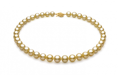 Or 9.04-11.83mm AAA-qualité des Mers du Sud 585/1000 Or Jaune-Collier de perles