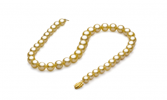 Or 9.04-11.83mm AAA-qualité des Mers du Sud 585/1000 Or Jaune-Collier de perles