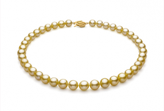 Or 9-11.7mm AAA-qualité des Mers du Sud 585/1000 Or Jaune-Collier de perles