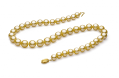 Or 9-11.7mm AAA-qualité des Mers du Sud 585/1000 Or Jaune-Collier de perles