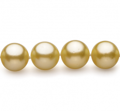 Or 9-11.7mm AAA-qualité des Mers du Sud 585/1000 Or Jaune-Collier de perles