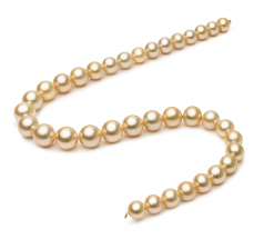 18 pouces Or 10-13.3mm AAA-qualité des Mers du Sud 585/1000 Or Jaune-Collier de perles