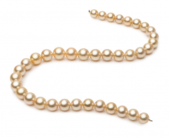 18 pouces Or 9.6-12.6mm AA+-qualité des Mers du Sud 585/1000 Or Jaune-Collier de perles