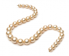 18 pouces Or 9.3-13.3mm AA-qualité des Mers du Sud 585/1000 Or Jaune-Collier de perles