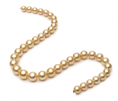18 pouces Or 9.5-11.9mm AA-qualité des Mers du Sud 585/1000 Or Jaune-Collier de perles