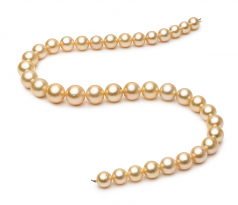 18 pouces Or 9.7-13.9mm AA-qualité des Mers du Sud 585/1000 Or Jaune-Collier de perles