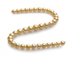 18 pouces Or 10-13.5mm AAA-qualité des Mers du Sud 585/1000 Or Jaune-Collier de perles