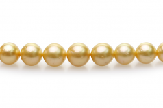 18 pouces Or 9-12mm AA-qualité des Mers du Sud 585/1000 Or Jaune-Collier de perles