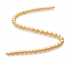 18 pouces Or 9-11.4mm AA-qualité des Mers du Sud 585/1000 Or Jaune-Collier de perles