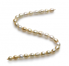 18 pouces Multicolore 10.4-13mm Baroque-qualité des Mers du Sud 585/1000 Or Jaune-Collier de perles