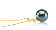 Gisela Noir 10-11mm AAA-qualité de Tahiti 585/1000 Or Jaune-pendentif en perles