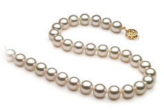 Blanc 8-8.5mm AAA-qualité Akoya du Japon -Collier de perles