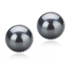 Tammy Noir 10-11mm AAA-qualité de Tahiti 925/1000 Argent-Boucles d'oreilles en perles