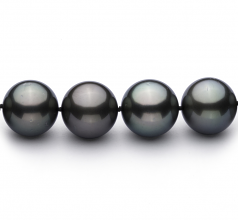 Noir 13-15.5mm AAA-qualité de Tahiti 585/1000 Or Blanc-Collier de perles